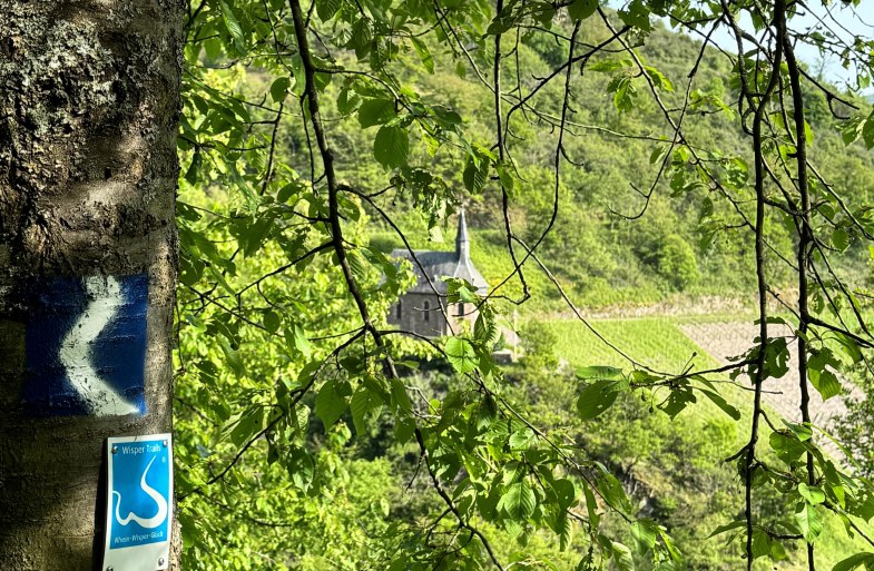 Blick auf Clemenskapelle _Rheinsteig_Wispertrail_M