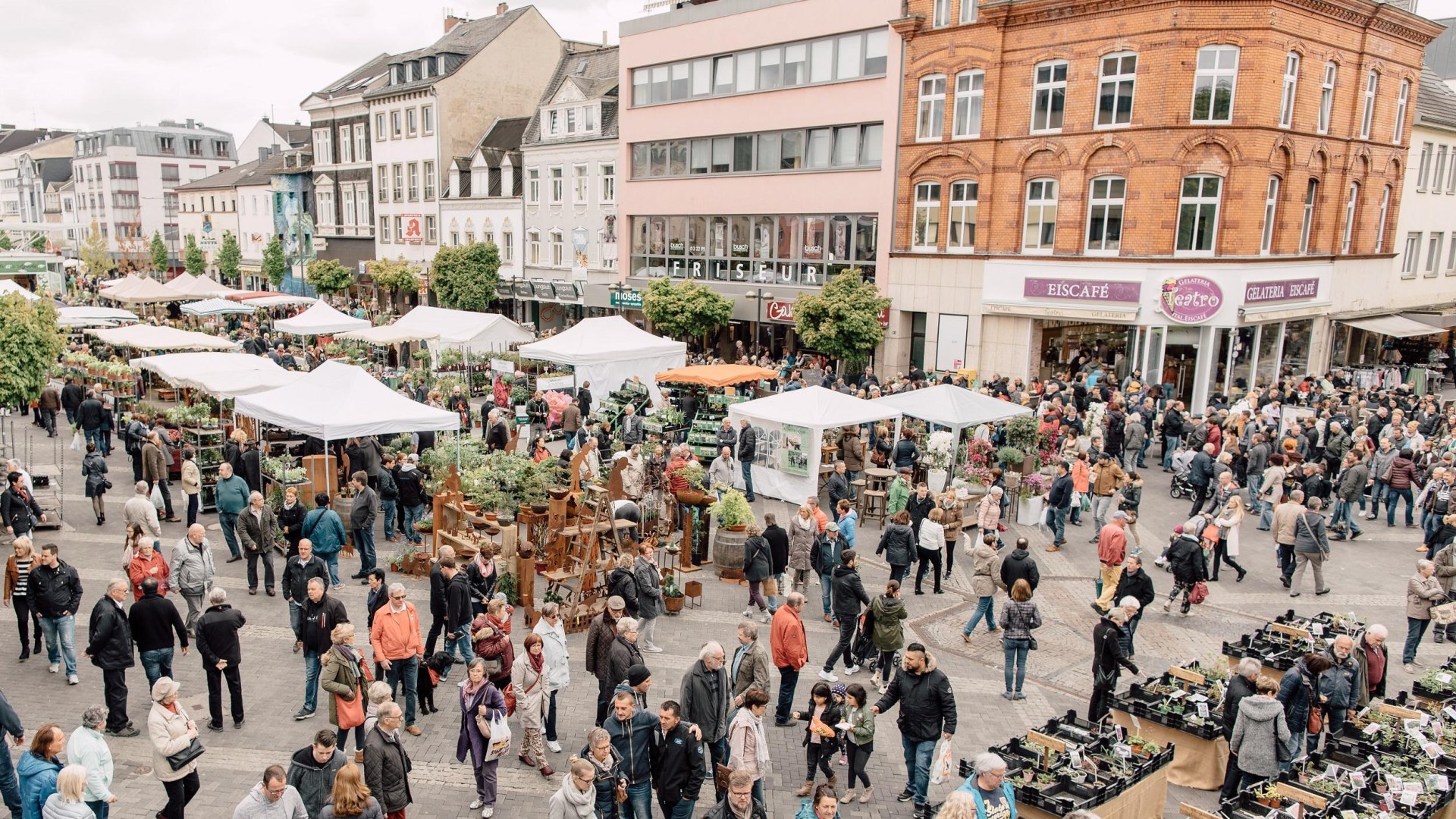 Gartenmarkt Luisenplatz | © Zimpfer Gartenmarkt Luisenplatz | © Zimpfer