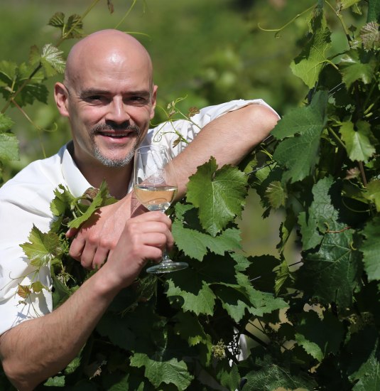 Weingut Nies | © Weingut Nies Weingut Nies | © Weingut Nies