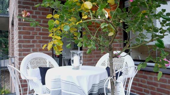 FeWo Rheinblick-Andernach Terrasse | &copy; Familie Vukoja