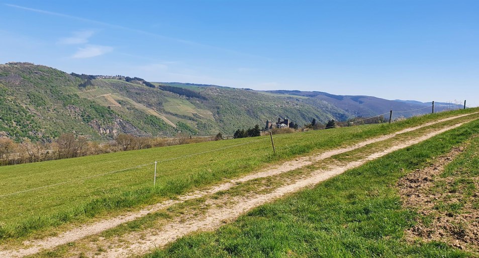 Aussich "die Hard(t)" | © TI Hunsrück-Mittelrhein Aussich "die Hard(t)" | © TI Hunsrück-Mittelrhein