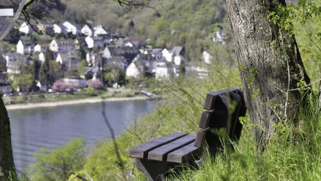 Bank mit Aussicht | © Sebastian Reifferscheid