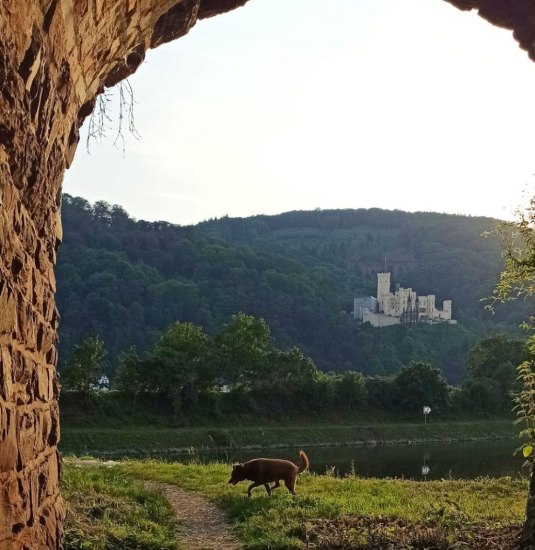 Rheinanlagen | © Schmitt Rheinanlagen | © Schmitt