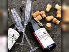 Weingut Ockenfels | &copy; &copy;Weingut Ockenfels