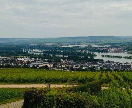 Aussicht | © Oehlke