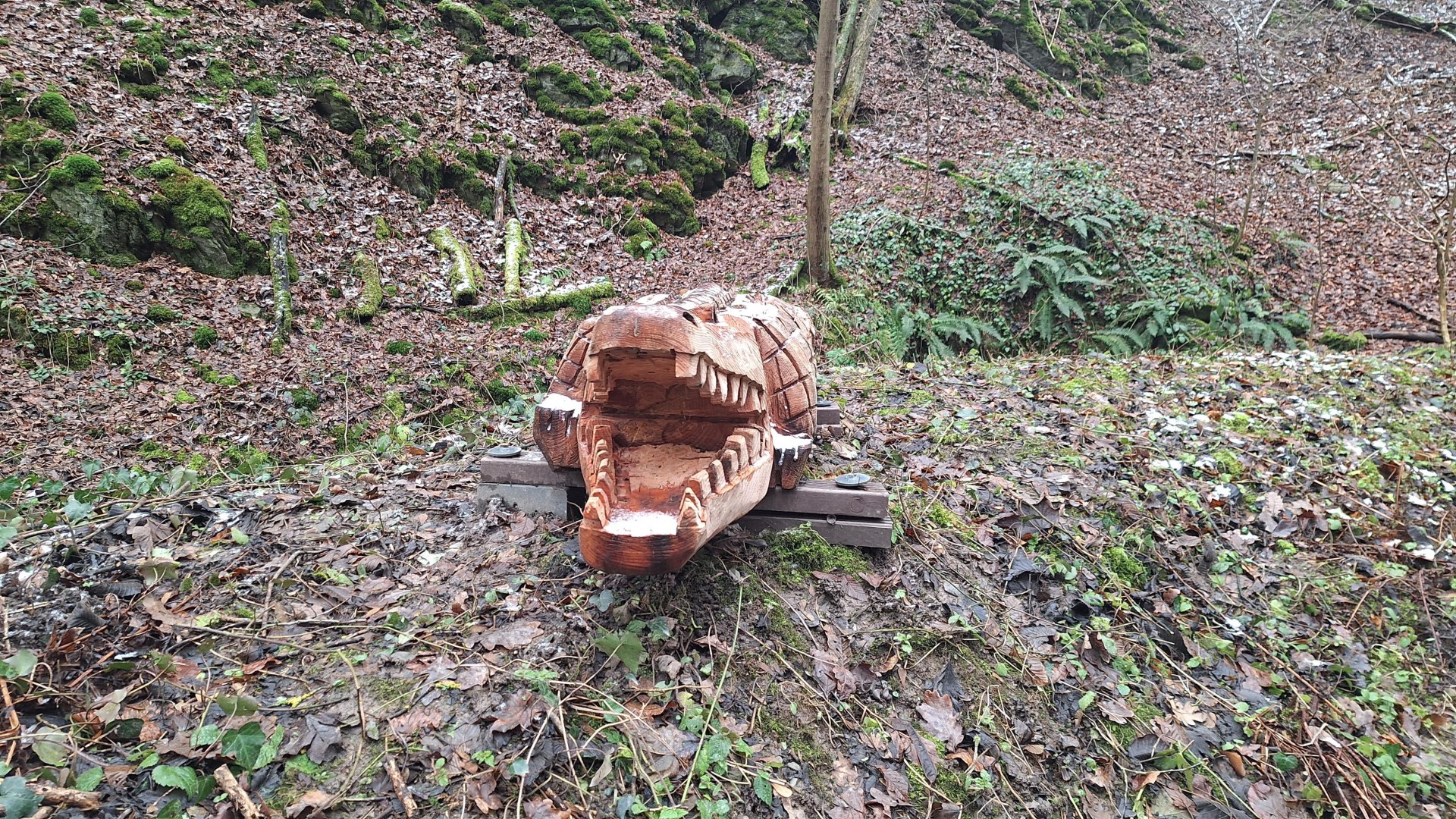 Das Krokodil | © T. Biersch Das Krokodil | © T. Biersch