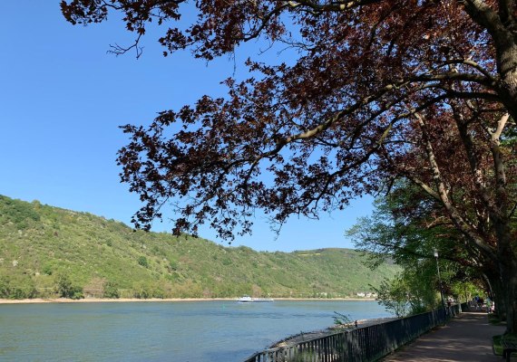 Rheinanlagen | © Kathrin Gipp Rheinanlagen | © Kathrin Gipp