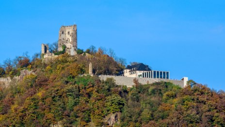 Drachenfels | &copy; Friedrich Gier, Mittelrhein