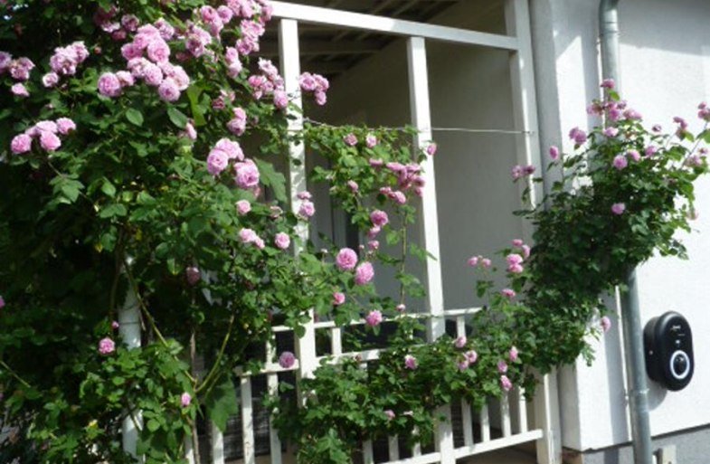 Idyllische Lage der Doppelhaush&auml;lfte | &copy; Familie Nagel