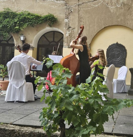 image | © Schloss Arenfels image | © Schloss Arenfels