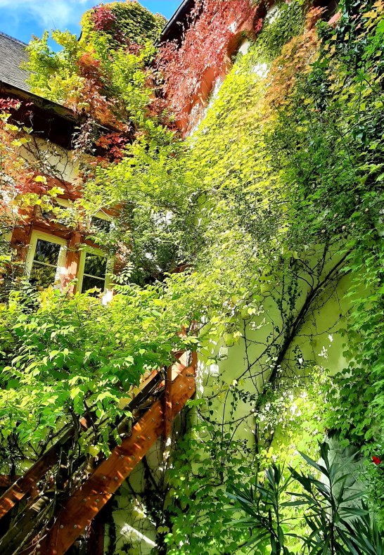 Schloss Martinsburg II | © Stadt Lahnstein