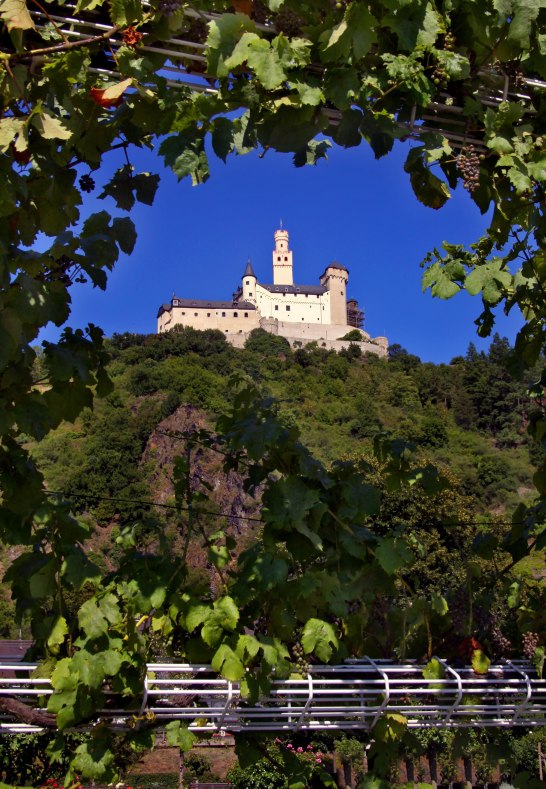 Reben und Marksburg | © unbekannt Reben und Marksburg | © unbekannt