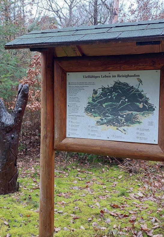 Tafel am Waldlehrpfad | © T. Biersch Tafel am Waldlehrpfad | © T. Biersch