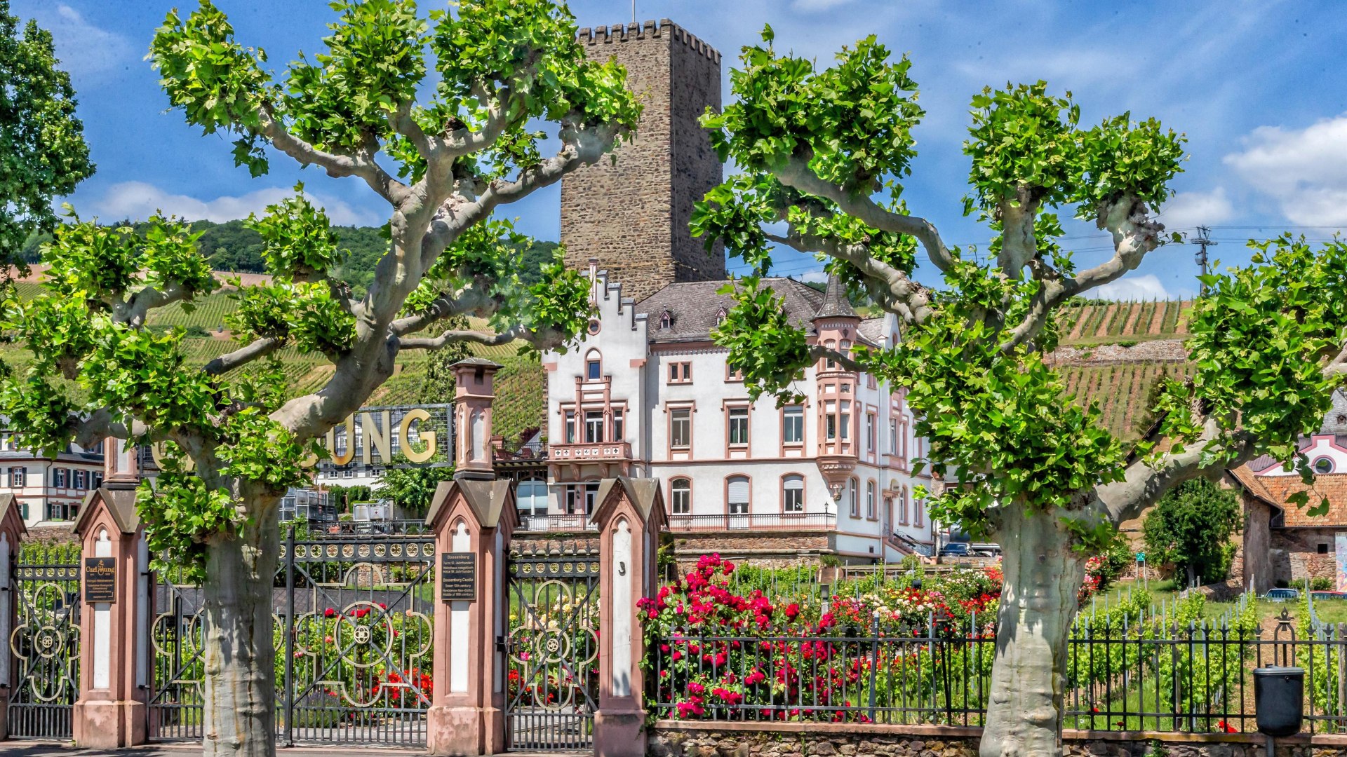 Boosenburg in Rüdesheim | © Rüdesheim Tourist AG Marlis Steinmetz Boosenburg in Rüdesheim | © Rüdesheim Tourist AG Marlis Steinmetz