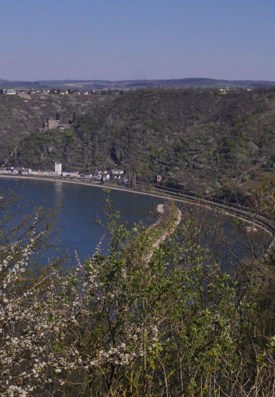 Rheinblick | © Bernhard Vogt