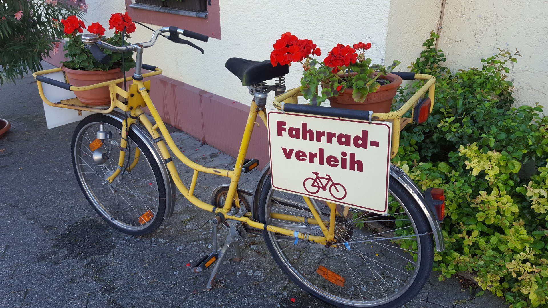Fahrradverleih, Rhens | &copy; Kevin Kalfels