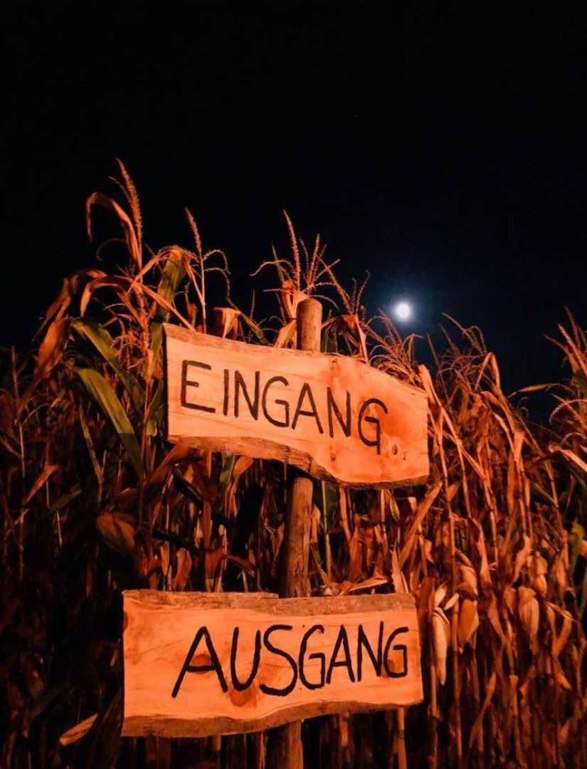 Night Walk | © M. Heckel
