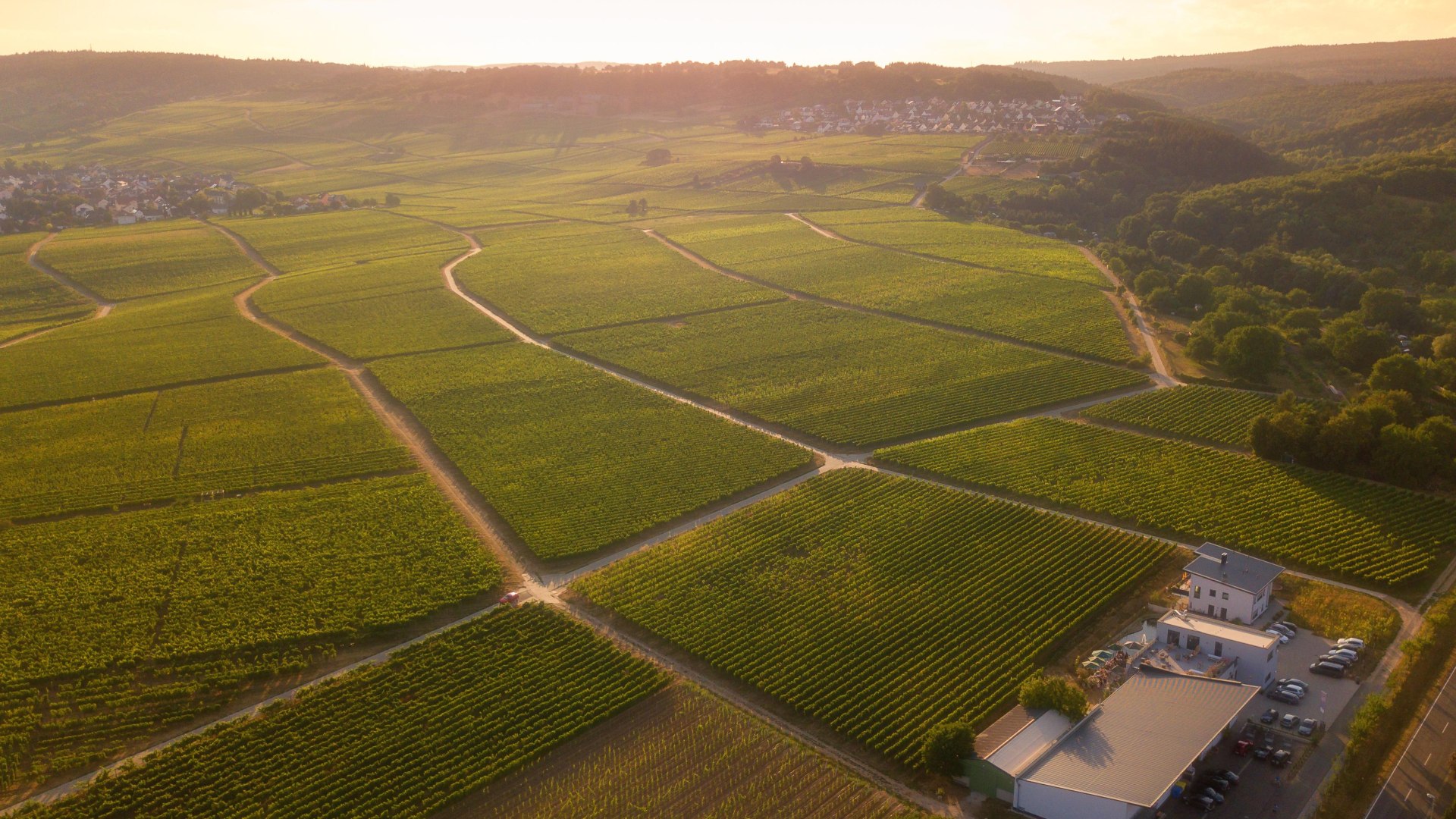 Weingut Sohns | &copy; Weingut Sohns