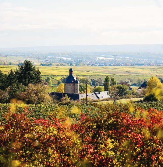 Schloss Vollrads | © Saskia Marloh