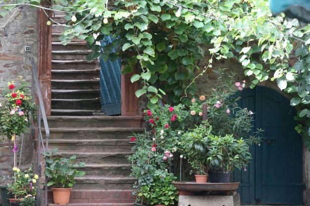 SHND0153 klein | &copy; Ursula von Breitenbach