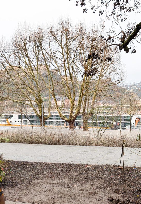 Aussicht vom Hauseingang | &copy; fotozauberkoblenz.de