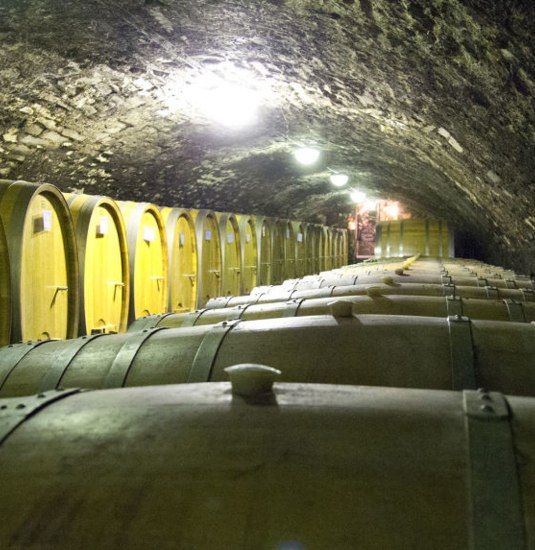 Wine cellar | © Holger Bernert / Rheinland-Pfalz Tourismus GmbH Wine cellar | © Holger Bernert / Rheinland-Pfalz Tourismus GmbH