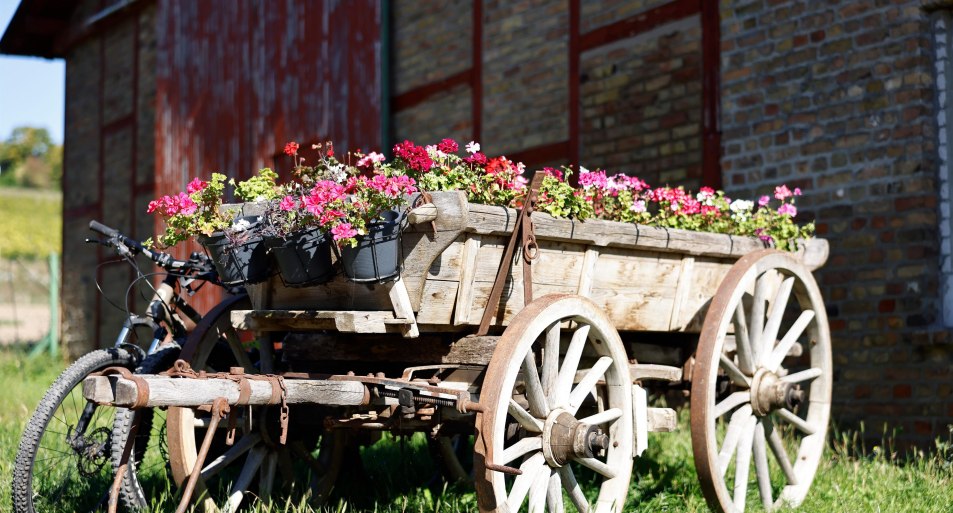 Wacholderhof II | © Marc Nebel Wacholderhof II | © Marc Nebel