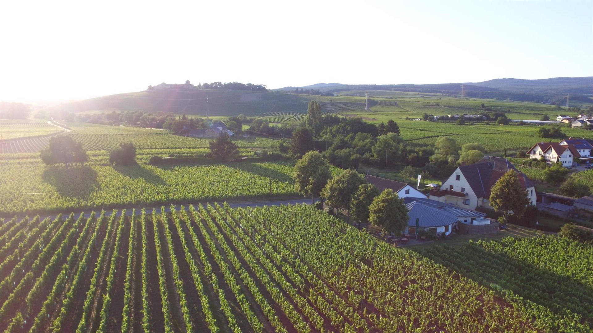 Weingut H. Krayer | &copy; Weingut H. Krayer