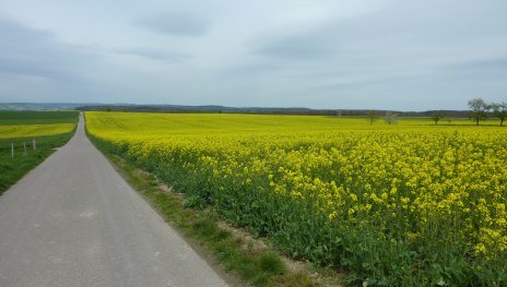 Urbach-Runde, Variante A | &copy; Wanderfreunde Weisel, Romantischer Rhein Tourismus GmbH