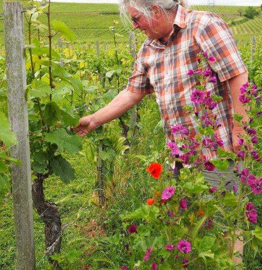 P6062375 | &copy; Familie Allendorf