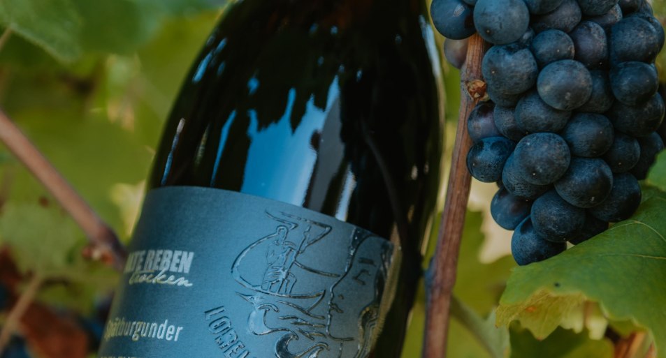 Wein Loreley Kellerei | © Loreley Kellerei Wein Loreley Kellerei | © Loreley Kellerei