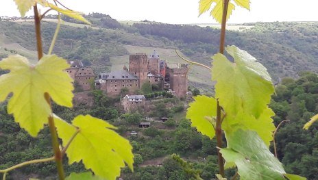 Blick auf die Sch&ouml;nburg | &copy; TI Hunsr&uuml;ck-Mittelrhein