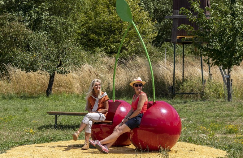 Kirschen am Kirschenpfad | © Katja S. Verhoeven Kirschen am Kirschenpfad | © Katja S. Verhoeven