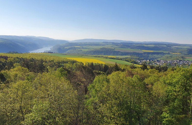 Turm Spitzer Stein Aussicht Oberwesel | &copy; TI Hunsr&uuml;ck-Mittelrhein
