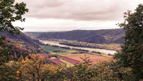 Aussicht vom Punkt Siebengebirgsblick | &copy; Tourist-Information Andernach, Mittelrhein