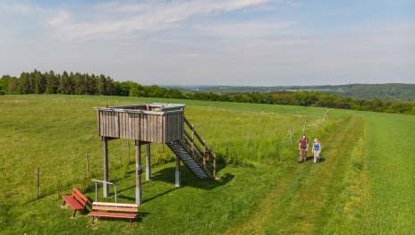 © Andreas Pacek , Touristik-Verband Wiedtal e.V.