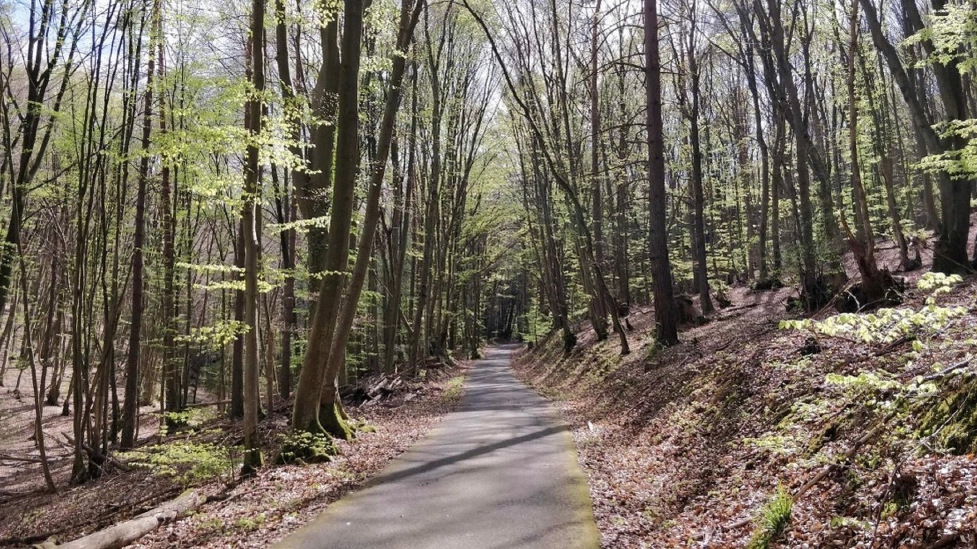 Vom Rhein zur Ahr | &copy; Markus K.