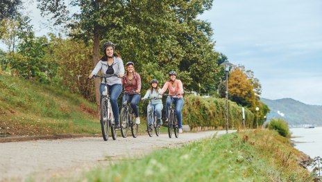 Radfahren auf dem Rheinradweg | © ©Marco Rothbrust, Verbandsgemeinde Rhein-Mosel / Tourismus