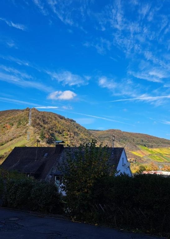 Aussicht | &copy; Familie Nass,M&uuml;ller-Bryja