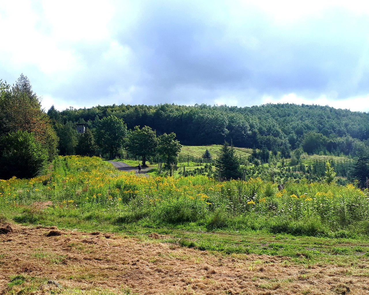 Unterwegs auf dem RömerWeltWeg | © Romantischer Rhein Tourismus GmbH Unterwegs auf dem RömerWeltWeg | © Romantischer Rhein Tourismus GmbH