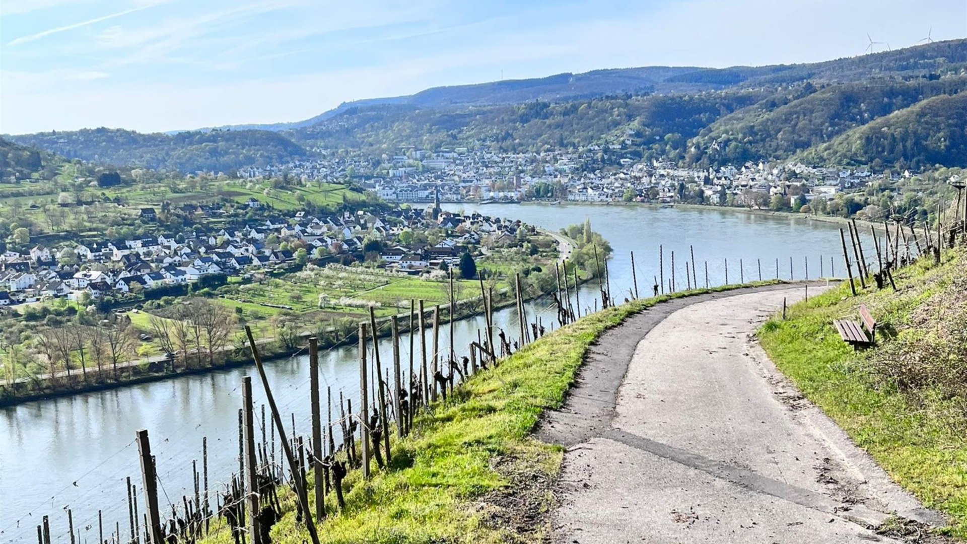 Wein | &copy; Weingut Lorenz