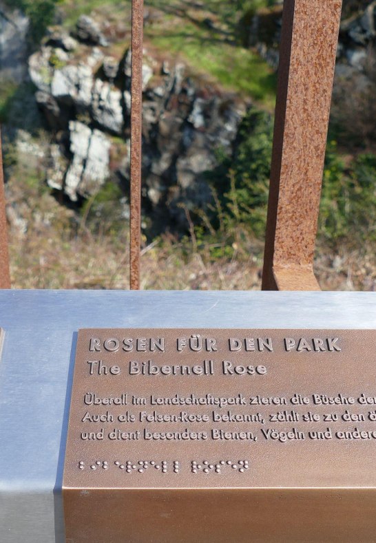 Blüte | © Armin Schaust Blüte | © Armin Schaust