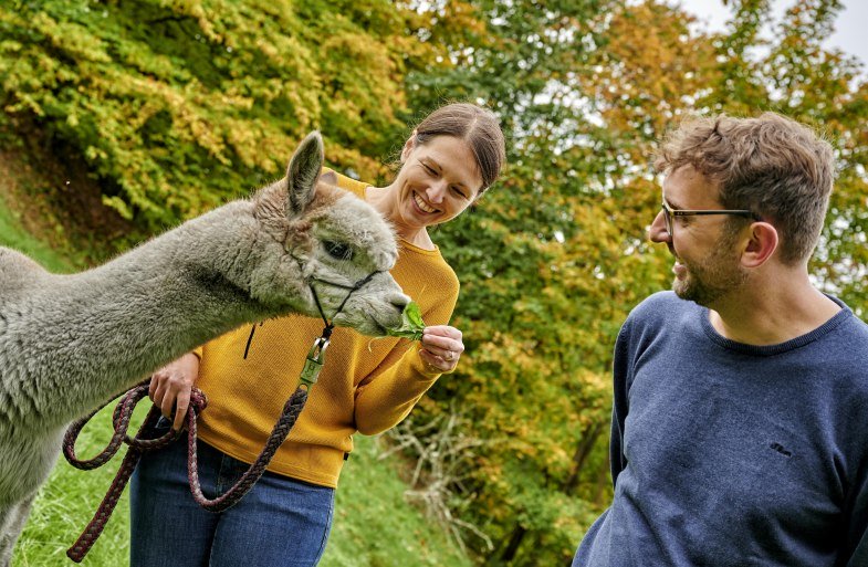 Alpakas | © Florian Trykowski Alpakas | © Florian Trykowski