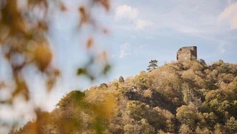 &copy; Marco Rothbrust, Romantischer Rhein Tourismus GmbH