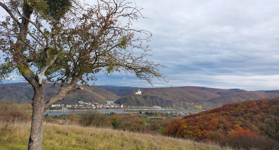 Herbst | &copy; TI Erlebnis Rheinbogen