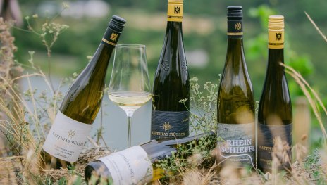 Weinflaschen | © Weingut Matthias Müller Weinflaschen | © Weingut Matthias Müller