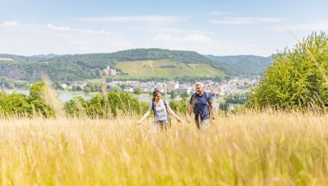 Fichtelwiese | &copy; Anton R&ouml;ser/Tourist-Information Bad Breisig