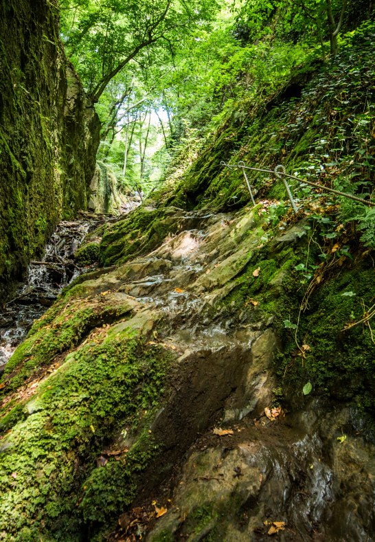 Ruppertsklamm | &copy; Henry Tornow