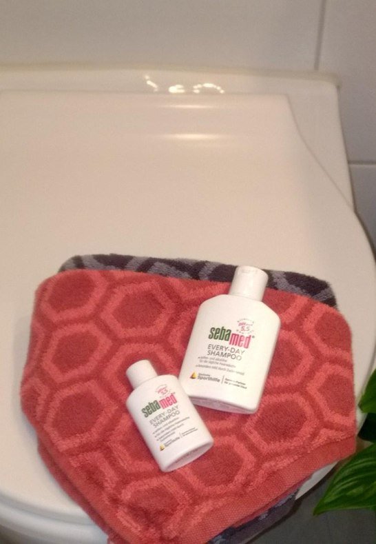 Randlos WC, Absenkautomatik | &copy; Petra Erbar