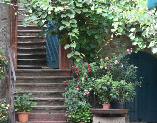 SHND0153 klein | &copy; Ursula von Breitenbach